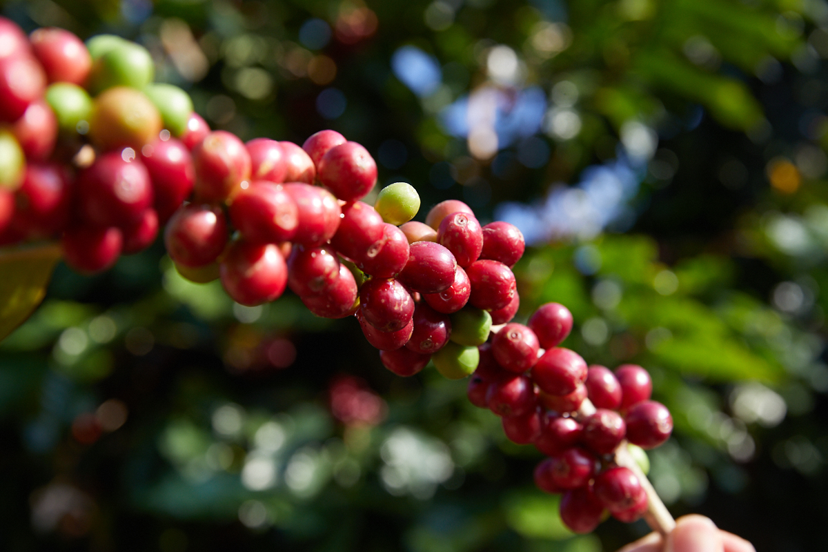 398A8568 - 副本.jpg