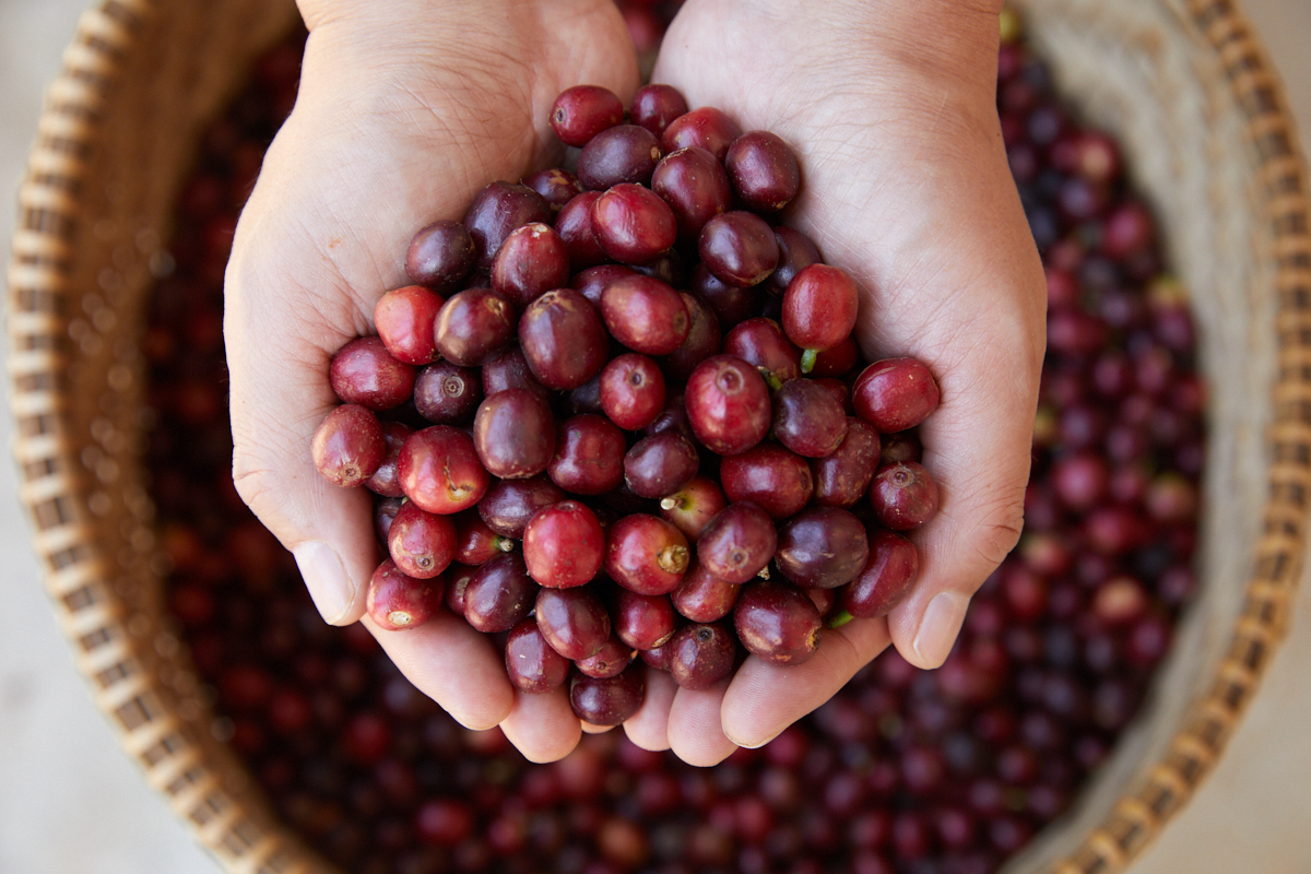 398A9686 - 副本.jpg